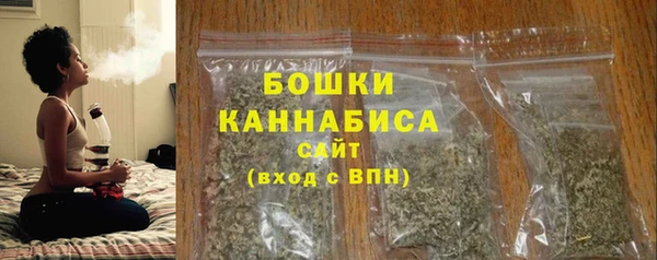 прущие грибы Ростов