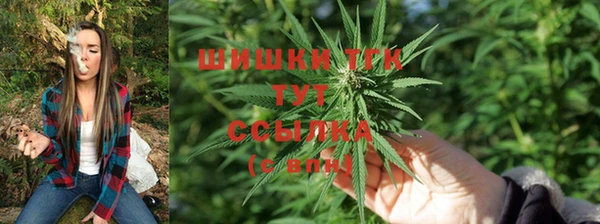бошки Абаза
