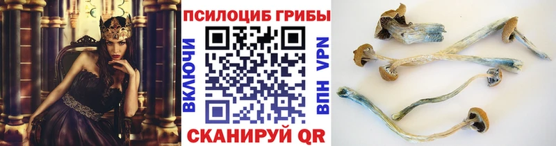 Галлюциногенные грибы мухоморы  KRAKEN зеркало  Дмитровск  как найти наркотики 